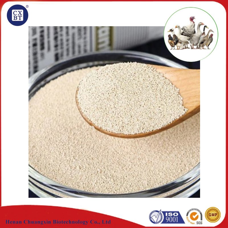China Supplier Feed Yeast Powder 65% For Animal Feed Additives
