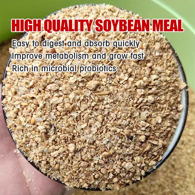 CHINESE NON-GMO SOYBEAN HULL FEED GRADE