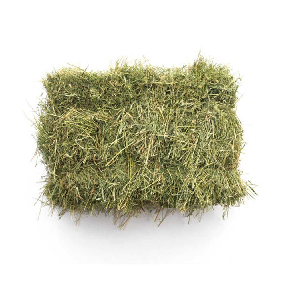 Cheap High-Quality Alfalfa And Timothy Hay For Animal Feed At Discounted Prices Best Animal Feeding Supplier