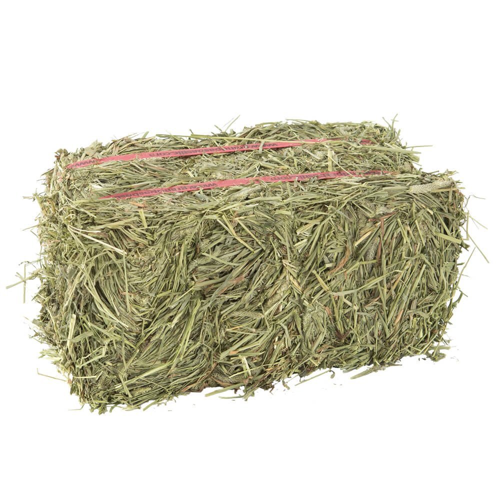 Cheap High-Quality Alfalfa And Timothy Hay For Animal Feed At Discounted Prices Best Animal Feeding Supplier