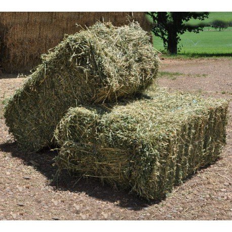 Hot Sale Pet Food Timothy Hay For Rabbit Timothy Hay