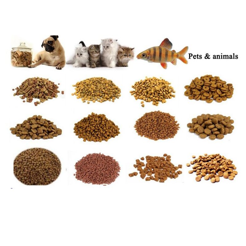 Fully Automatic Drying Equipment Floating Fish Feed Pellets Dryer Cat Dog Animal Feed Dryer