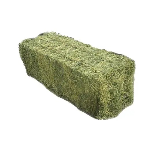 Top Quality Animal Feed Alfafa Hay