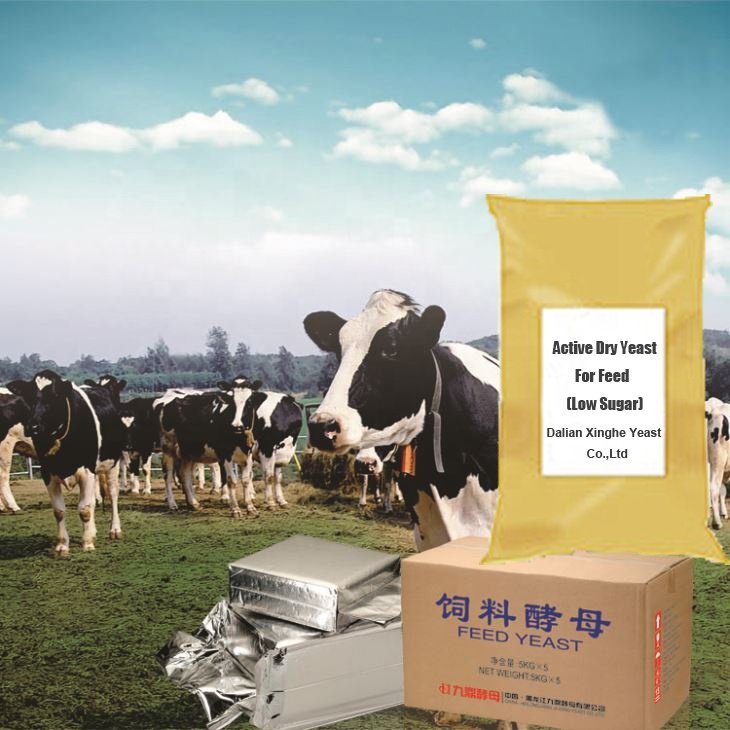 Beta Glucan Swelling Pakmaya Dry Yeast Yeast Making Machines Kraft Bag, Wine 25 Kg bag Packaging Yeast, feed yeast