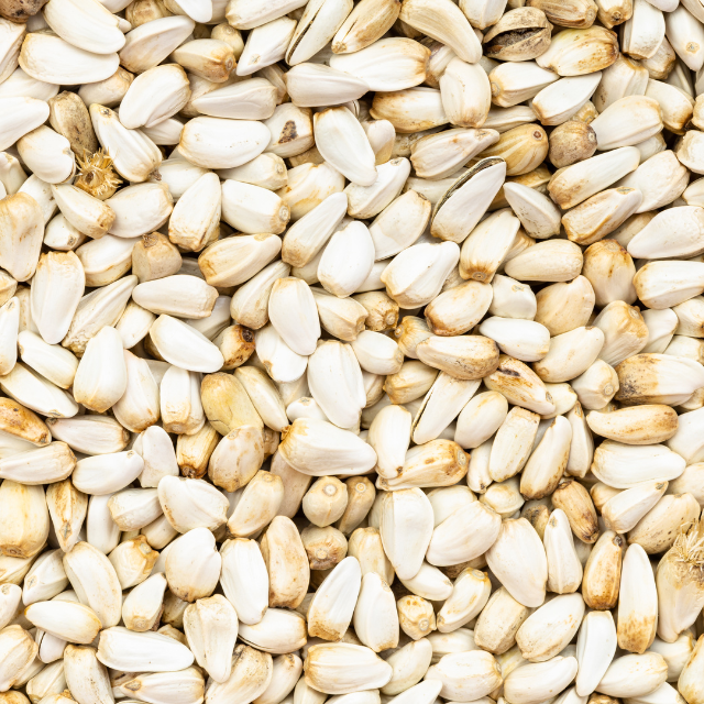 Top Quality Safflower Seeds for Export in Bulk Quantities for Animal and Bird Feed at Competitive Prices from India