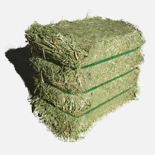 Premium Quality Alfalfa Hay, Timothy Hay, Animal Feed For Sale