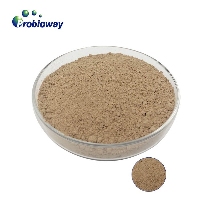 Bacillus amyloliquefaciens HH-BA23 500 billion probiotic powder animal feed additives direct fed microbials aquaculture