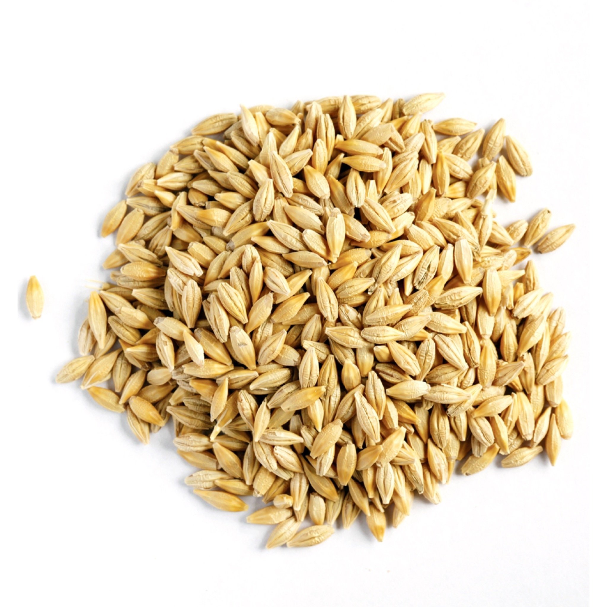 Feed Barley German Wholesale Natural Organic First Grade Animal Feed Barley 50 Kg Bag Packaging Barley Seeds Cereal Grain