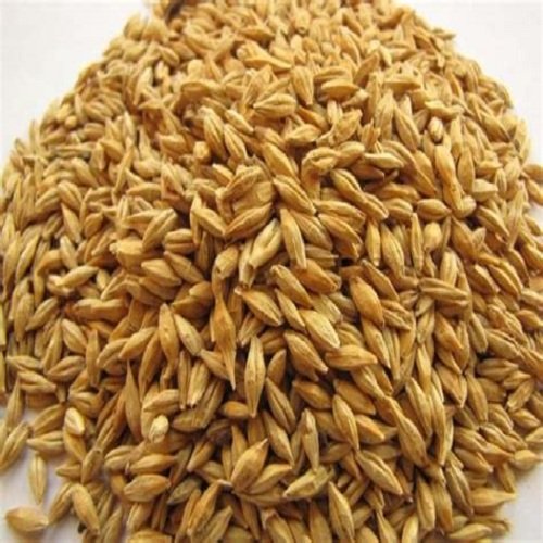 Feed Barley German Wholesale Natural Organic First Grade Animal Feed Barley 50 Kg Bag Packaging Barley Seeds Cereal Grain