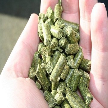 Buy Top Graded Alfalfa hay pellets animal feed for cattle / Alfalfa Hay pellet for Animal Feed