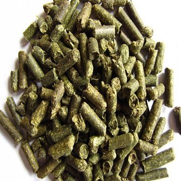 Buy Top Graded Alfalfa hay pellets animal feed for cattle / Alfalfa Hay pellet for Animal Feed