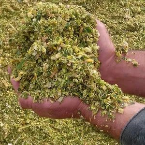 Premium Pure Protein Harvest Gold High-Quality Corn Silage, Perfect for Robust Animal Nutrition Animal Feed Exporter