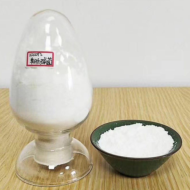 China Supply Wholesale Enterococcus Faecalis Feed Additive Miroorganism Probiotics For Animals