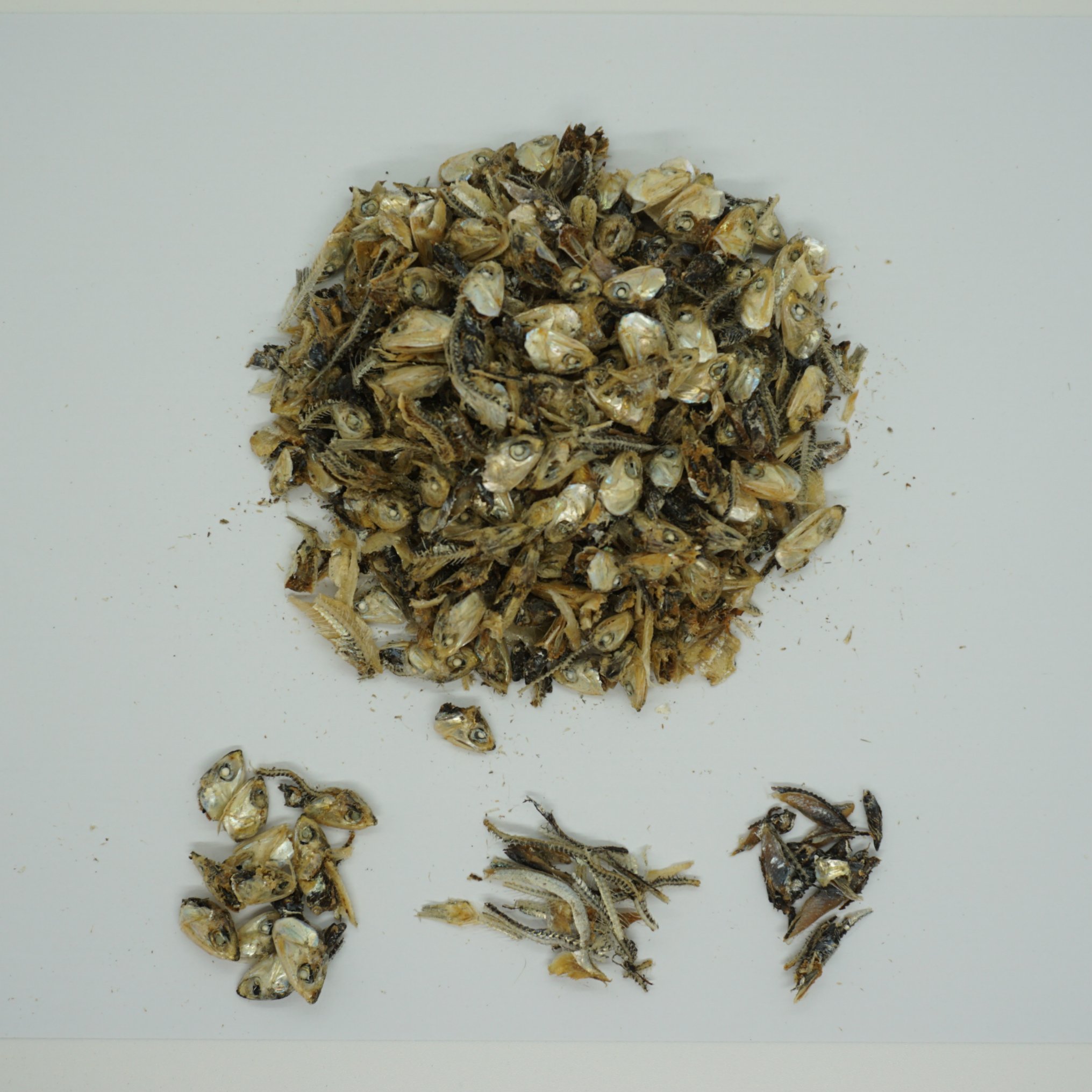 Hot Selling Wholesales Price Dried Anchovy Waste Dried Seafood Waste Naturally Used As Plant Fertilizer Fish Meal Animal Feed