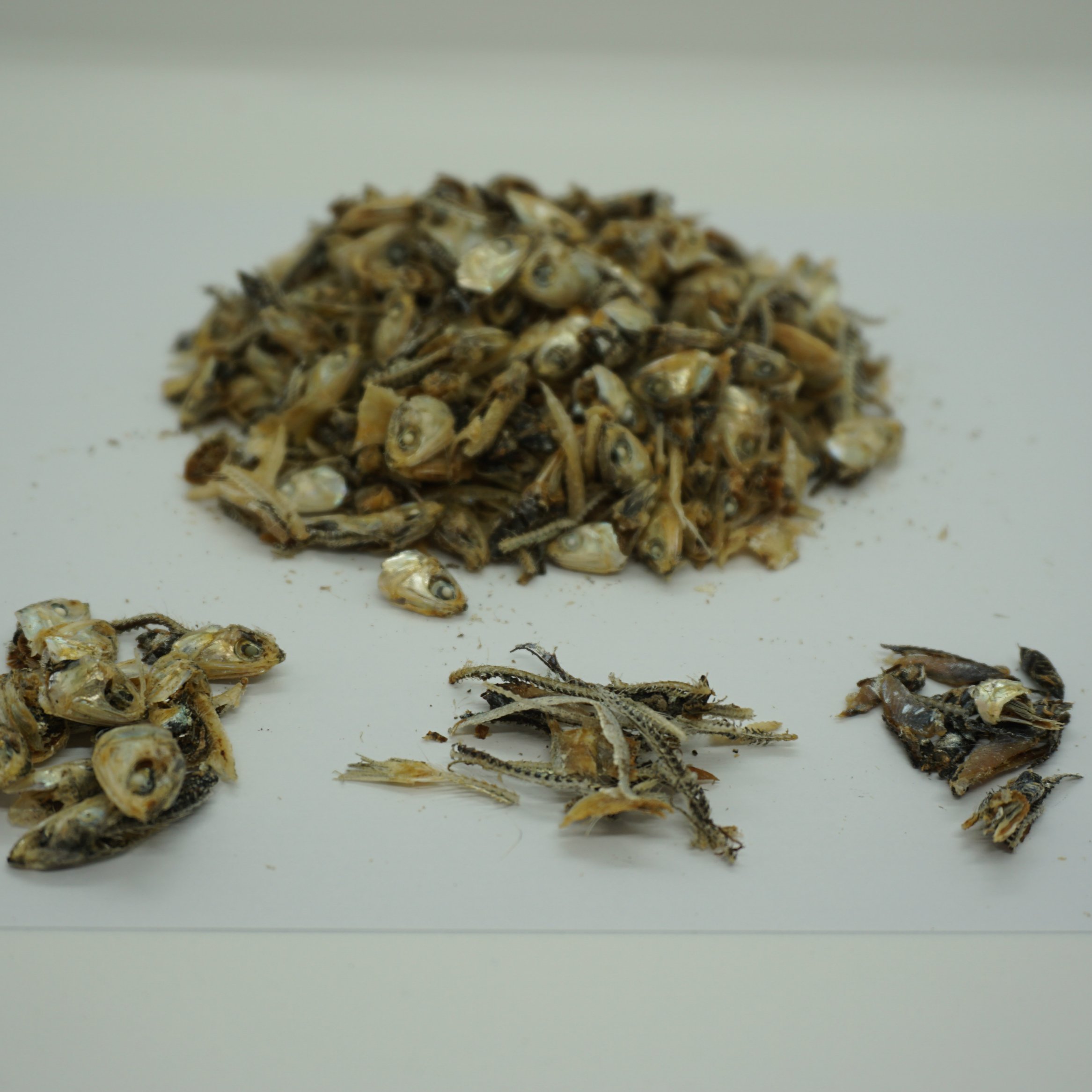 Hot Selling Wholesales Price Dried Anchovy Waste Dried Seafood Waste Naturally Used As Plant Fertilizer Fish Meal Animal Feed