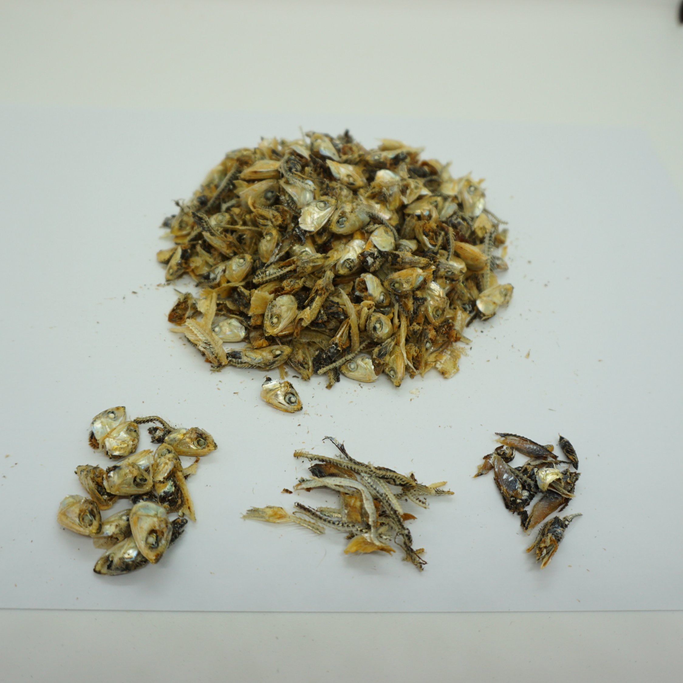 Hot Selling Wholesales Price Dried Anchovy Waste Dried Seafood Waste Naturally Used As Plant Fertilizer Fish Meal Animal Feed