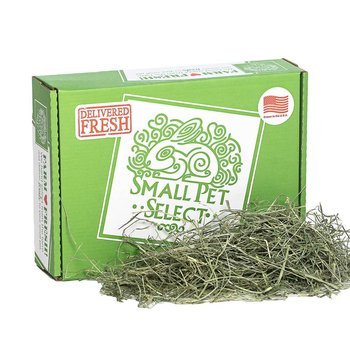 Alfalfa for feeding animals for cattle and other farm