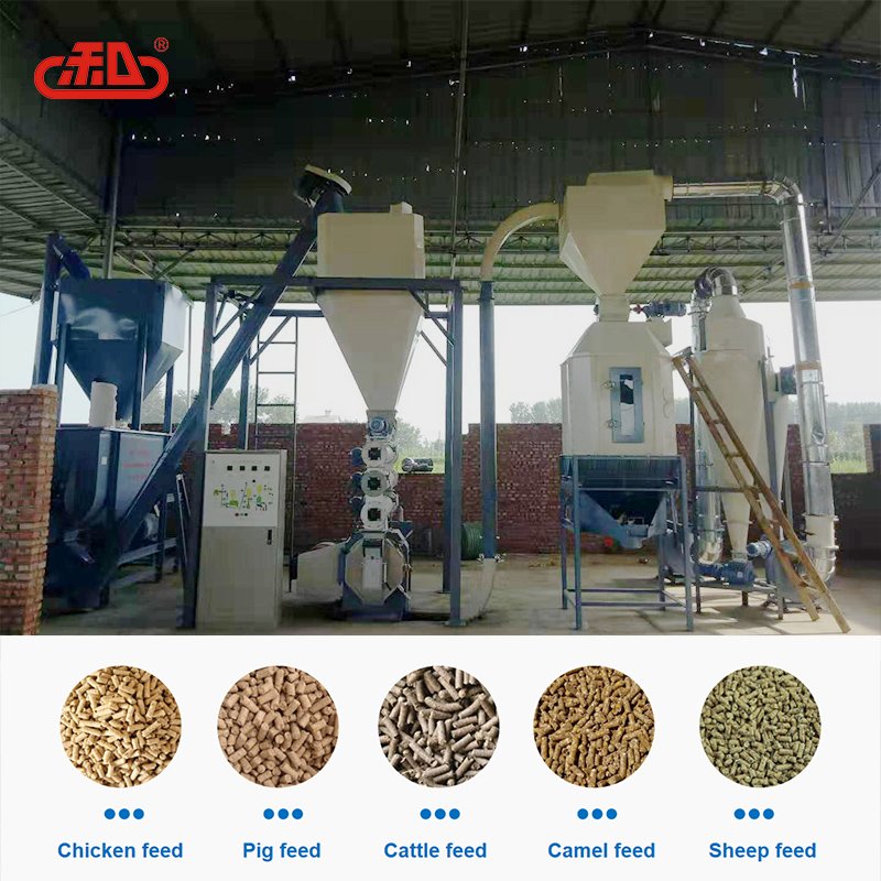 Animal feed mill farm customized 3-5 ton both mash pellet feed production line