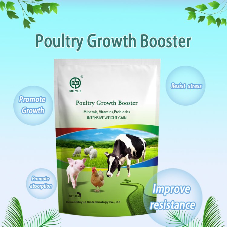 Premix Vitamin Additive for Poultry and Livestock Feed Growth Booster Premix Animal Feed