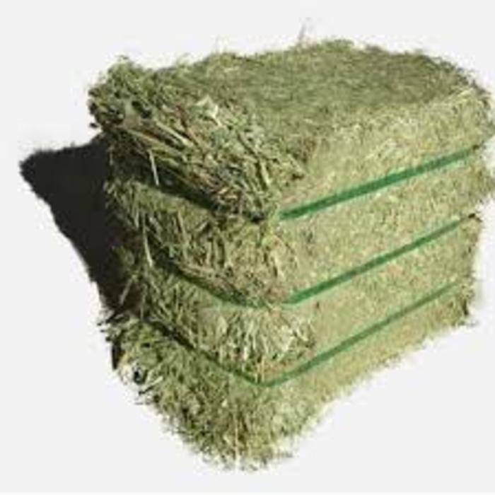 Best Quality Custom Made Wholesale Alfalfa Hay for Animal Feeding Stuff Alfalfa Grade Timothy Hay Alfalfa