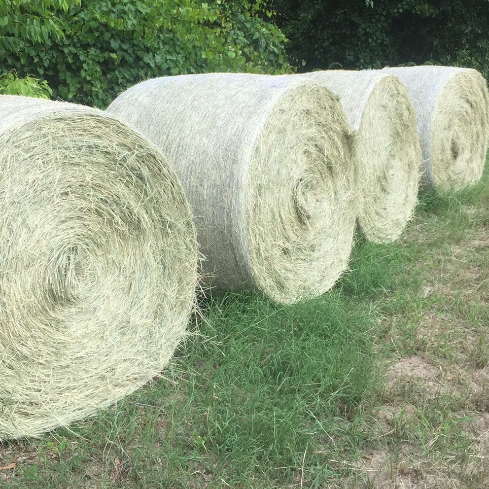 Top Quality Alfalfa Hay Feed Bales Packaging Cattle horse Food Grade for Animal Feeding Stuff Alfalfa / Timothy Hay/ Alfalfa Hay