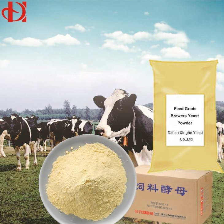 Advanced Farming Feed Yeast Technology, Support Livestock Breeding & Racing with Our dry yeast, swelling, animal Feed Yeast