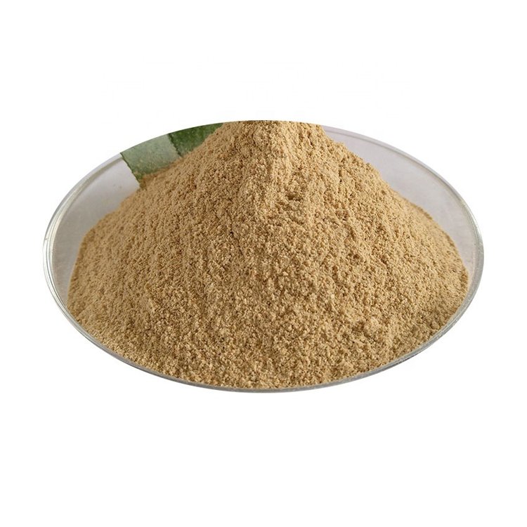 5%layer Concentrate feed /Premix feed Layer use feed / Organic high protein chicken and hen layer feed Premix