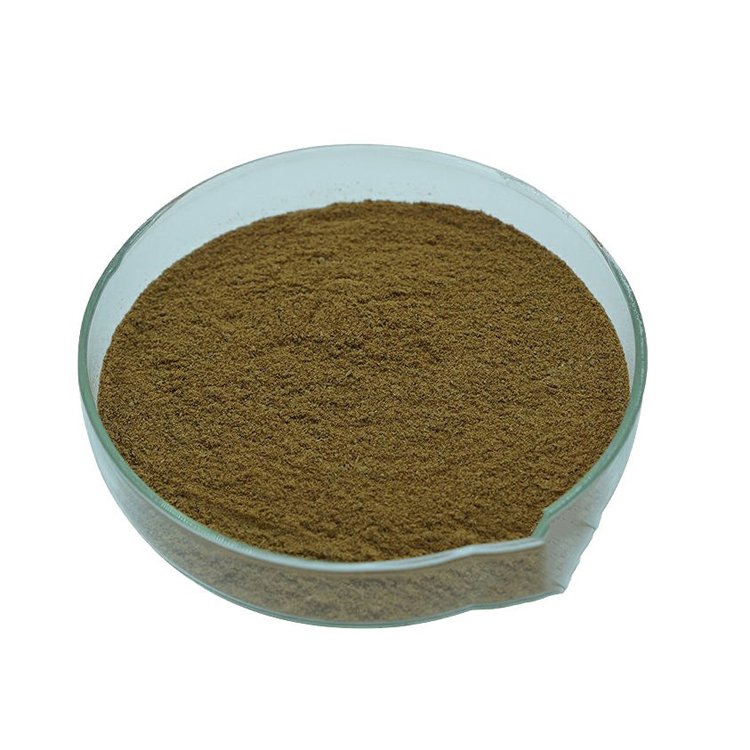 5%layer Concentrate feed /Premix feed Layer use feed / Organic high protein chicken and hen layer feed Premix