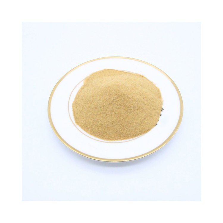 5%layer Concentrate feed /Premix feed Layer use feed / Organic high protein chicken and hen layer feed Premix