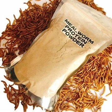 Buy Cheap Dried Mealworms Bird and Fish Food High-Protein Animal Feed