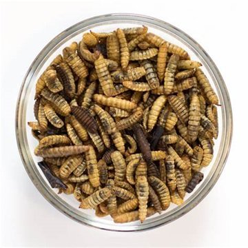 Buy Cheap Dried Mealworms Bird and Fish Food High-Protein Animal Feed