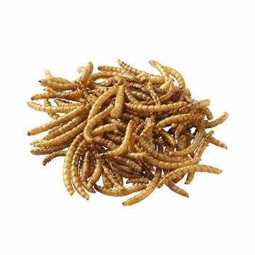 Buy Cheap Dried Mealworms Bird and Fish Food High-Protein Animal Feed
