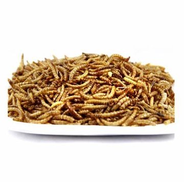 Buy Cheap Dried Mealworms Bird and Fish Food High-Protein Animal Feed