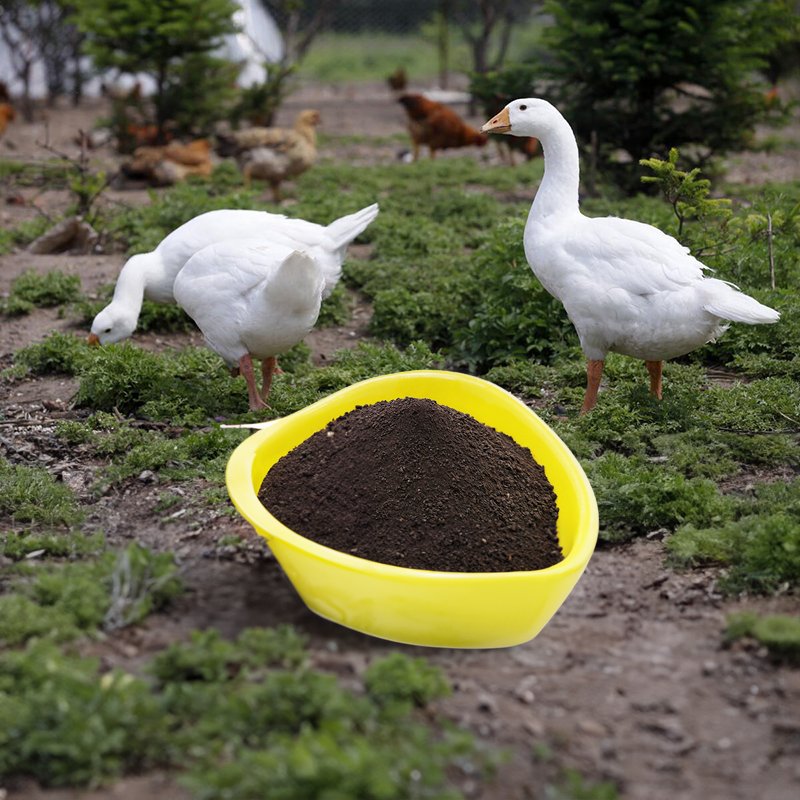 Hot Selling High Quality Multi-Element Chelated Meat Duck Animal Feed Grade Additives
