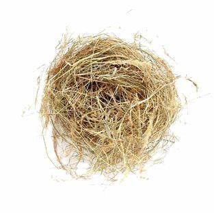 Quality Alfalfa Hay Oats Hay Animal Feed for Sale Animal Feed wholesale