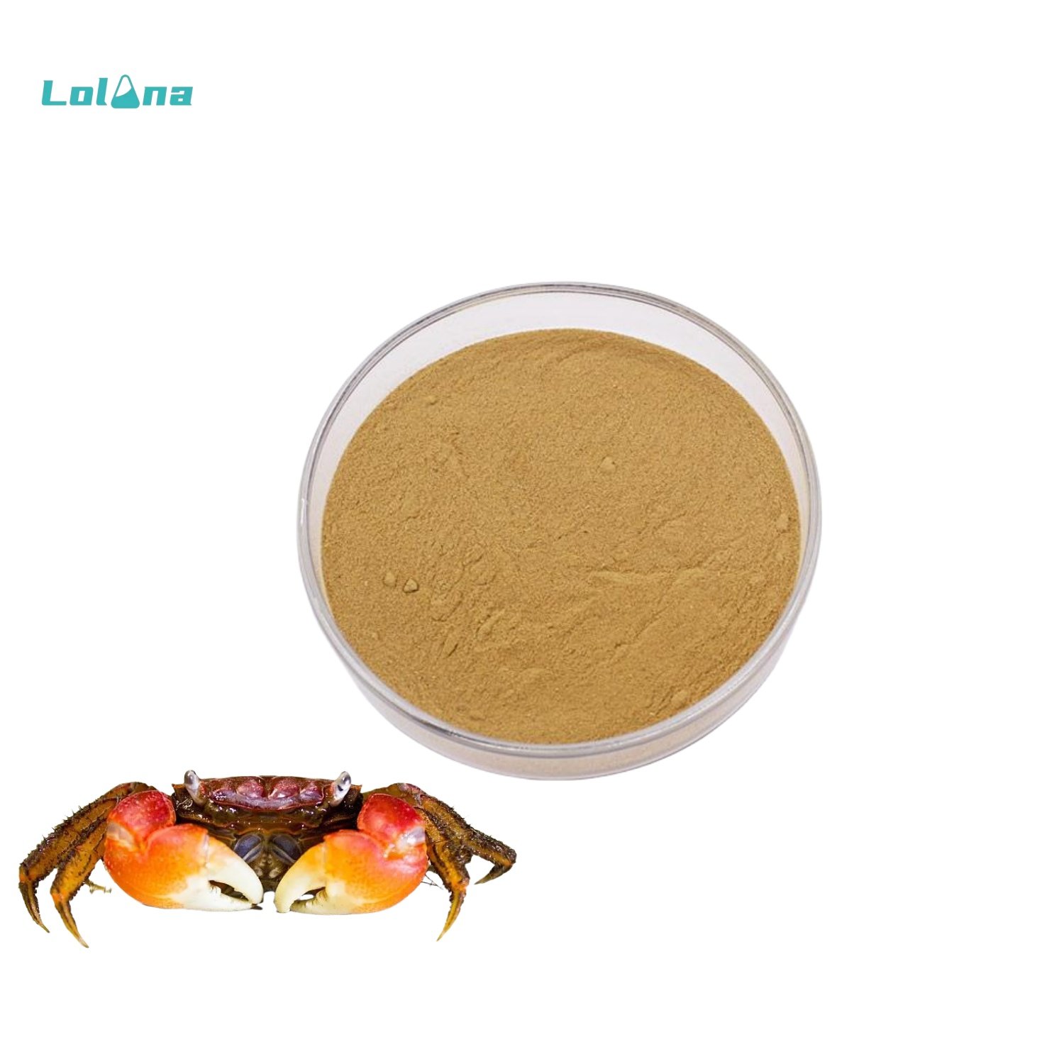 Special Feed Grade Additives for Cows Sheep Cattle Livestock Efficient Animal Feed Additives