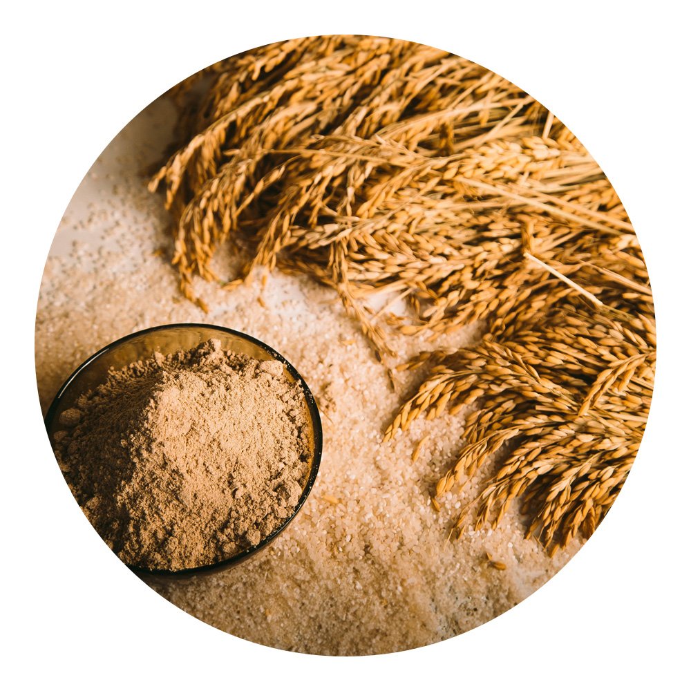 Rice flour is a natural and nutritious animal feed rich in proteins fats and carbohydrates