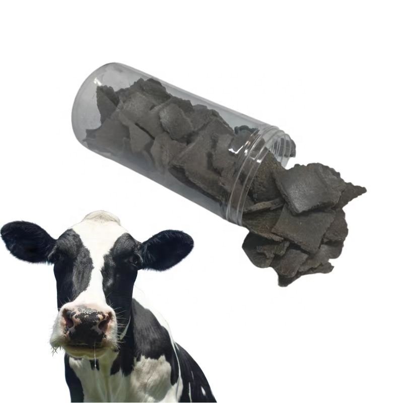 Hot Selling Ecological Sunflower Seed Meal in Bulk for Pig Fish Cattle Horse feeding/Sunflower cake for animal feed