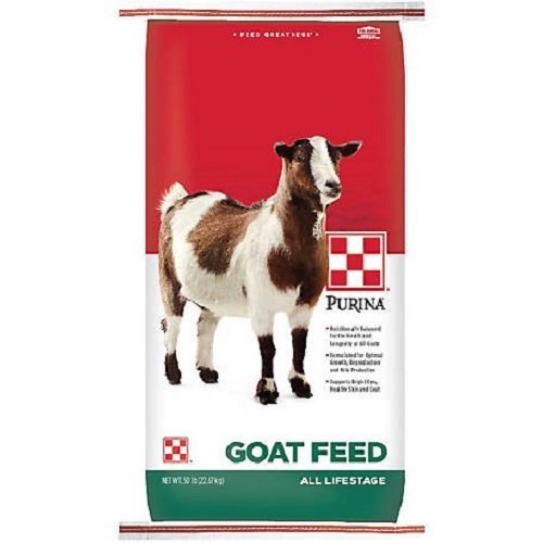 NEW ZEALAND ANIMAL FEED 30-35% HIGH PROTEIN PKE/PKC PALM KERNEL CAKE OIL FEED COW,SHEEP,GOAT IN Oamaru Otago NEW ZEALAND