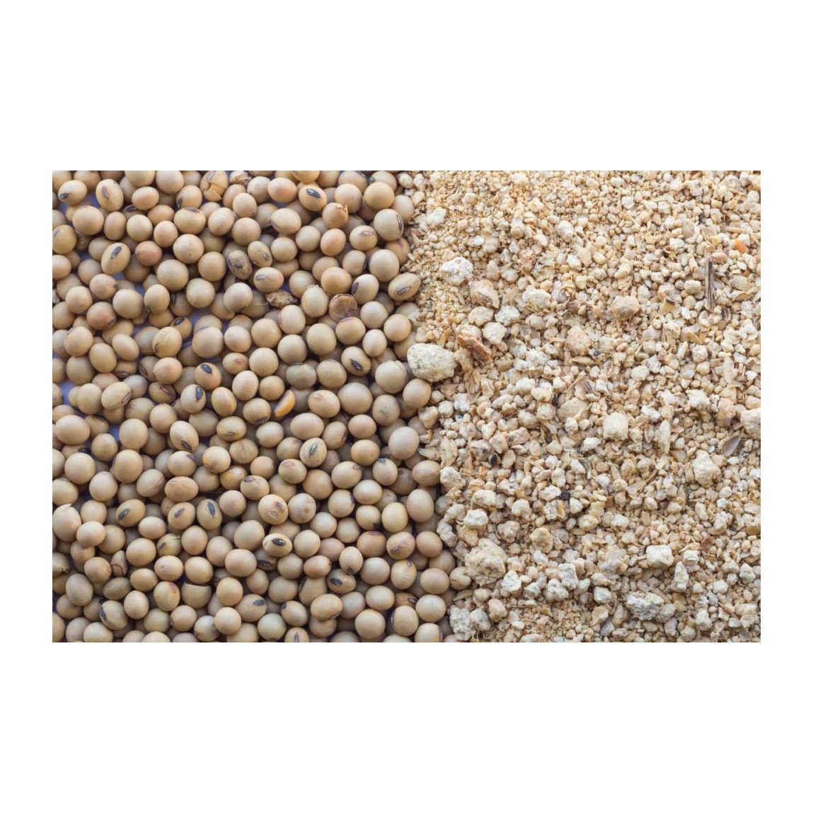 Available SOYABEAN MEAL/SOYBEAN MEAL ANIMAL FEED for sale