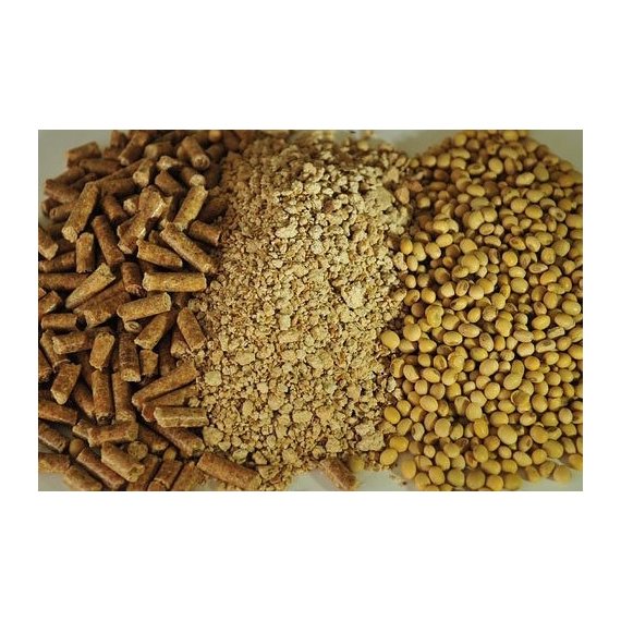 Available SOYABEAN MEAL/SOYBEAN MEAL ANIMAL FEED for sale