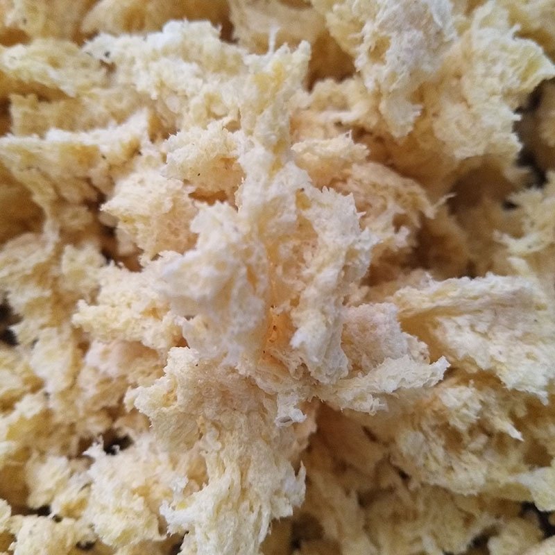 farm feed pellet machine animal feed and oil press extrusion soya extruder