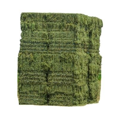 Wholesale Alfalfa Hay for animal feed at very cheap price Grass Hay Alfalfa Top Quality Alfafa Hay for Animal Feeding Stuff