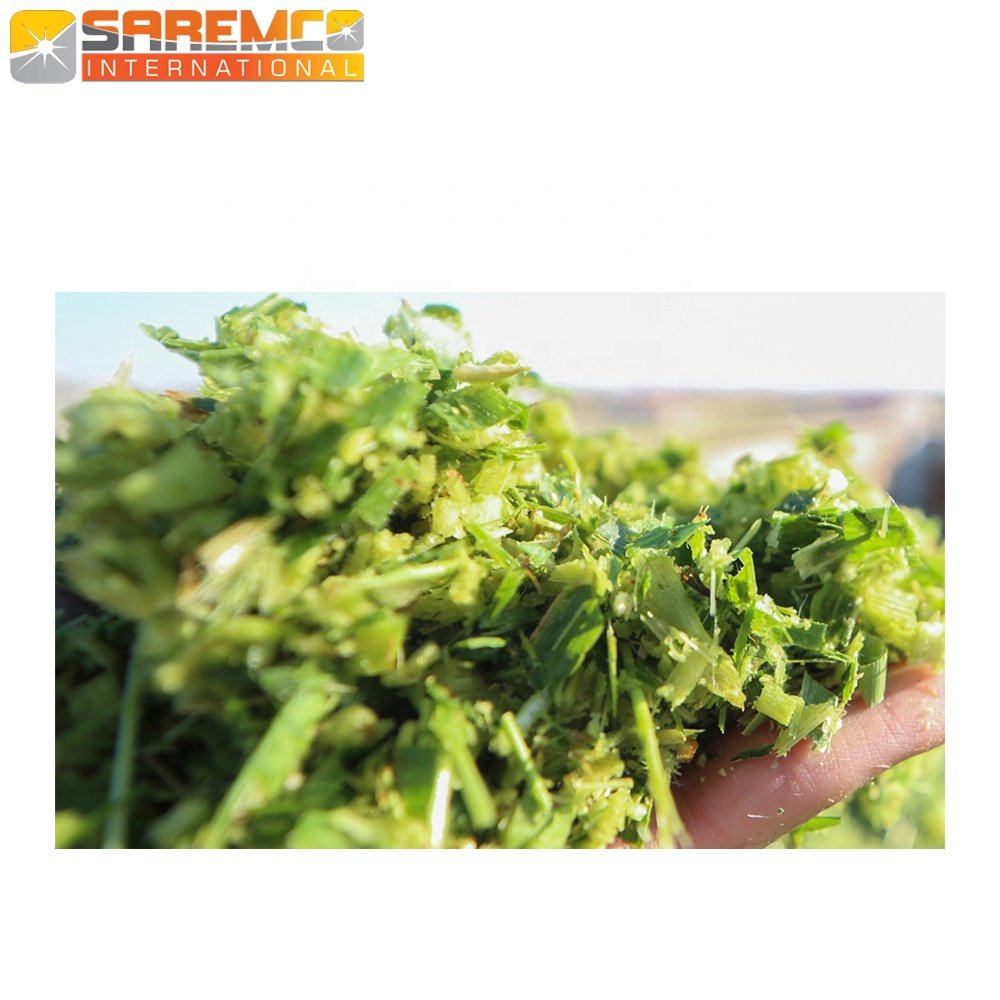 Excellent Corn Silage bales For Animal Feed, Horse, Camel, Cattle, Cow And Goat Prepared With Best Silage Machinery