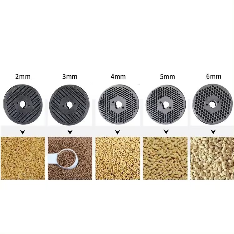 Chicken Feed Making Pet Animal Floating Fish Feed Pellet Machine Pellet Mill Food Processing Line Pellet Machine