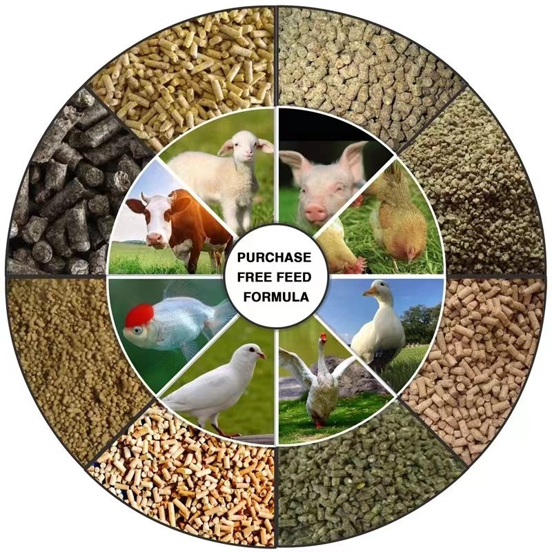 Quality-Assured 220V Diesel Engine Pellet Machine Farm 90 Pet & Animal Feed Pellet Plant Pellet Food Making Machine