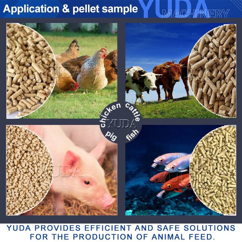 YUDA Factory Price 10t/h Animal Feed Poultry Equipment Pelletizer Mill Zambia Sheep Cattle Chicken Feed Pellet Machine