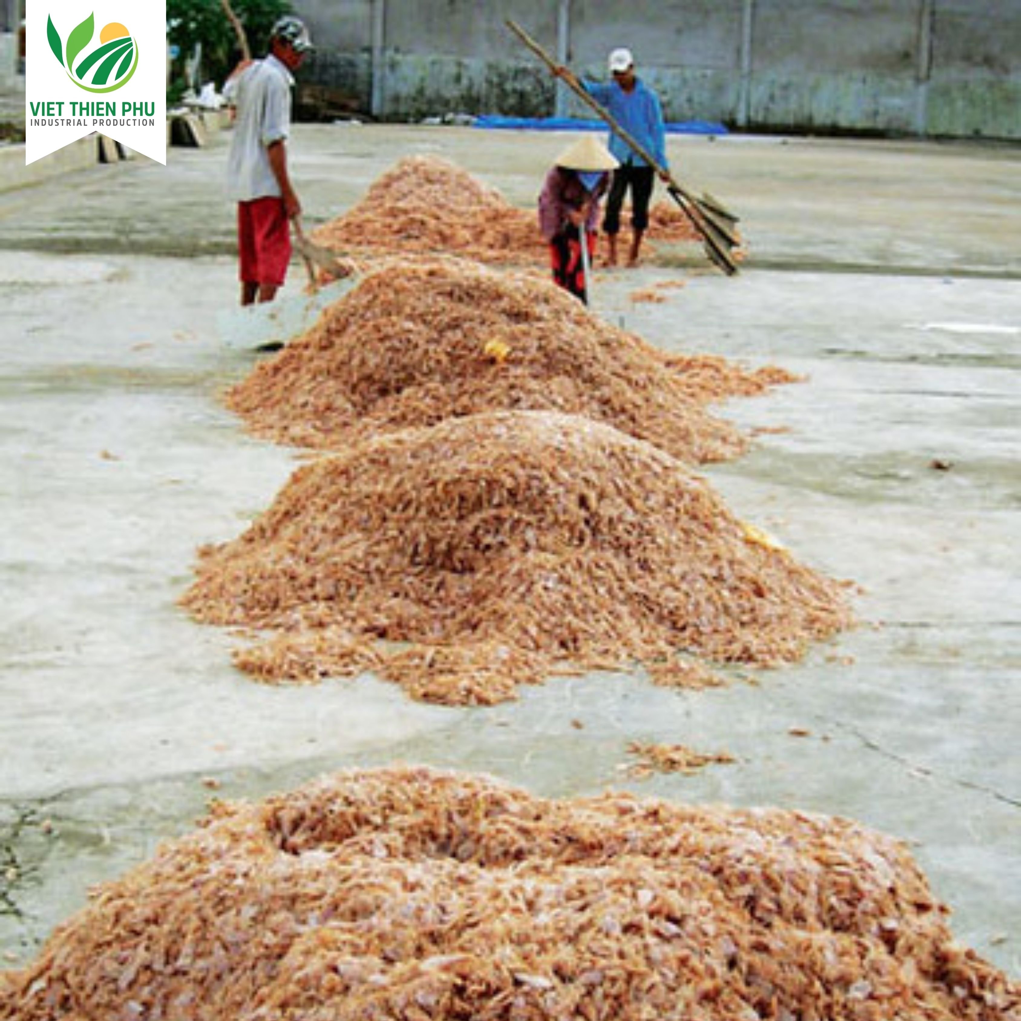 VIET THIEN PHU-Dried Shrimp Shell Powder shrimp shell meal Crab Shell Powder for Animal Feed
