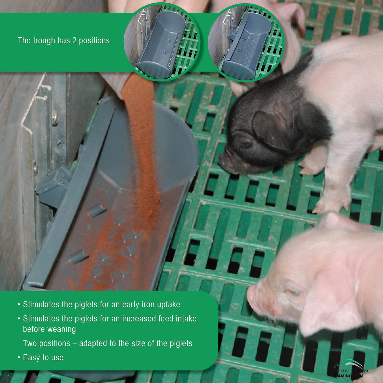 PlayFeeder Specially designed trough for piglets. Stimulates the piglets for an early iron uptake. Two positions. Easy to use.