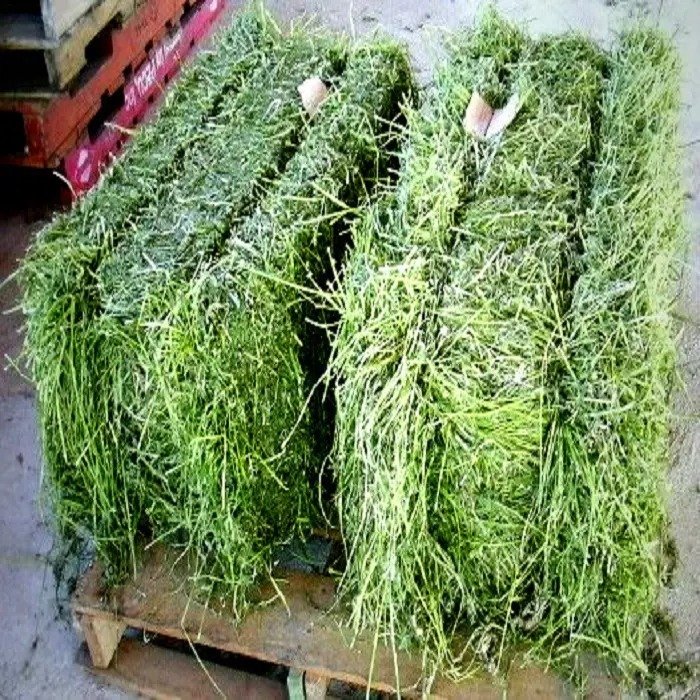 High Standard Dry Alfafa Hay For Animal Feed Alfalfa